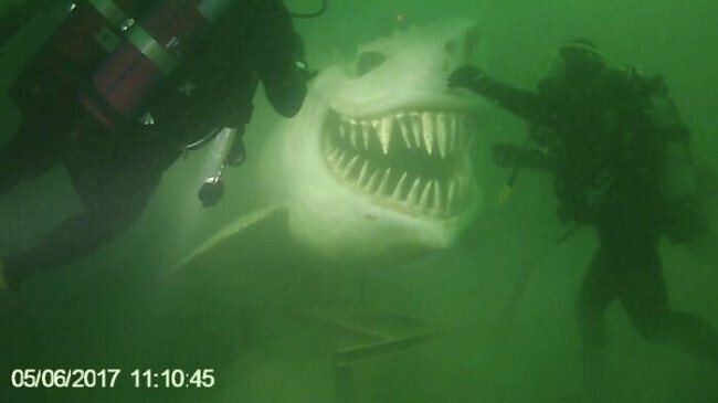 18. Подводная статуя акулы на озере Невшатель