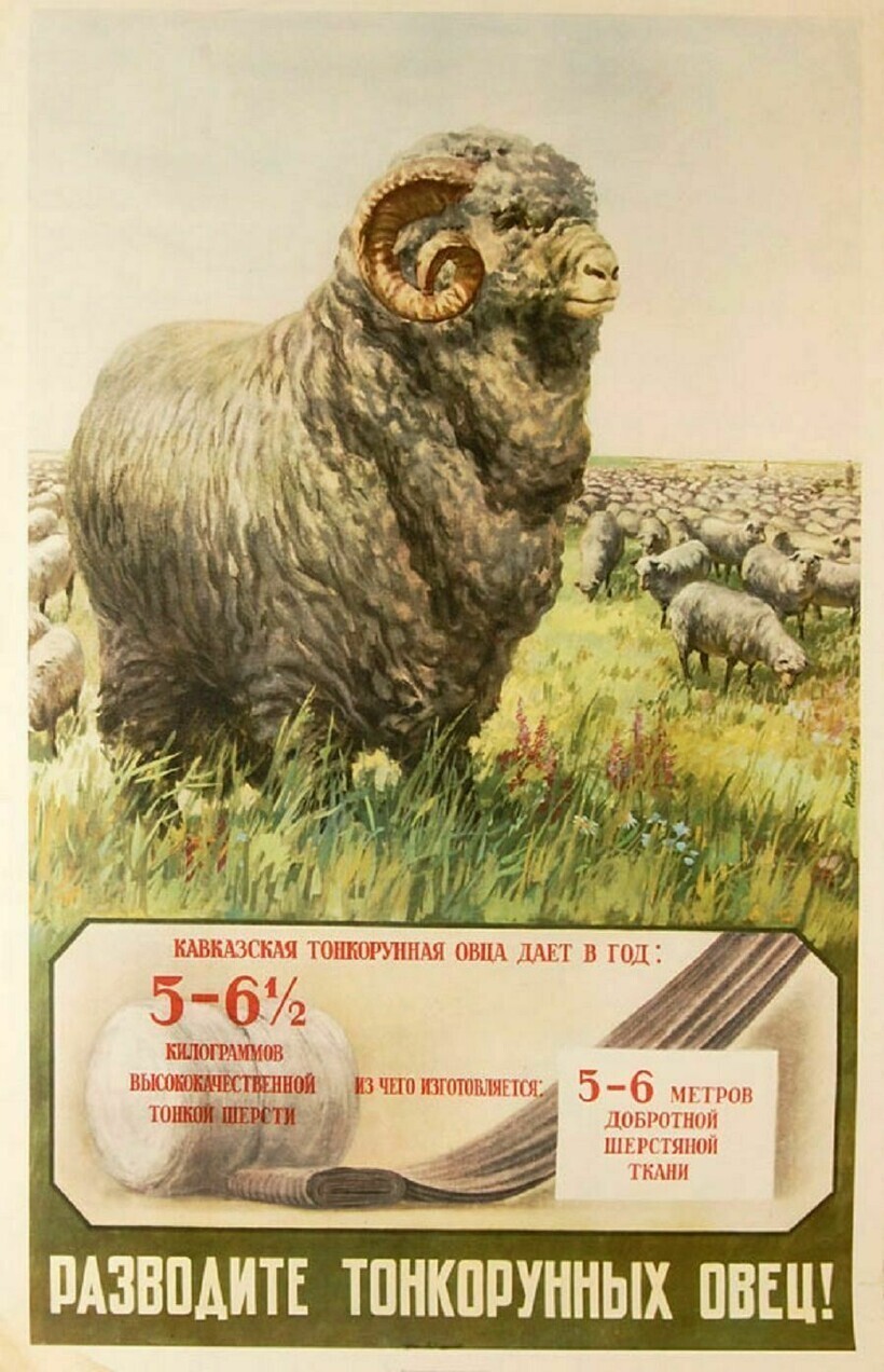 20 советских плакатов в поддержку сельского хозяйства
