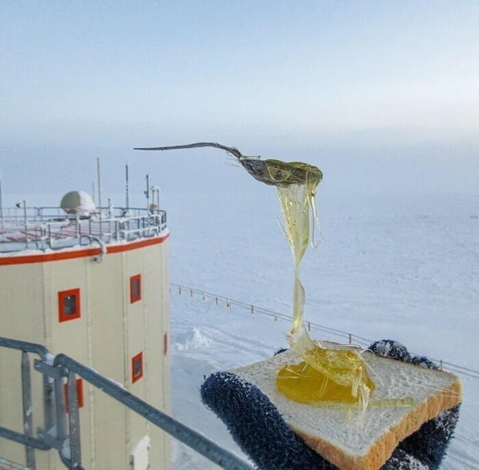 Обычный завтрак в Арктике