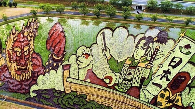 Рисовое искусство является эксклюзивом Японии. Это достигается путем планового посева различных видов риса
