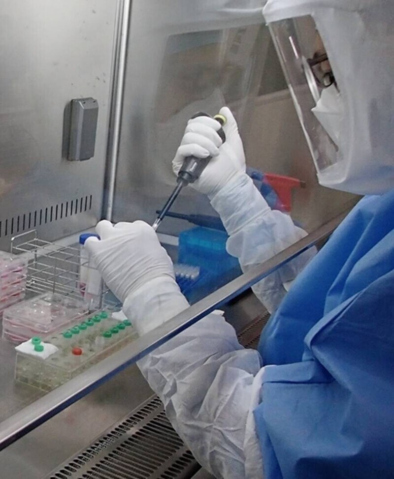Учёные из Токио работают над "пожизненной" вакциной от коронавируса