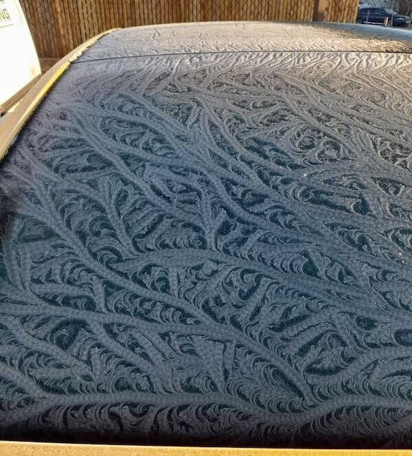 "Узор, который за ночь нарисовал на стекле моей машины мороз"