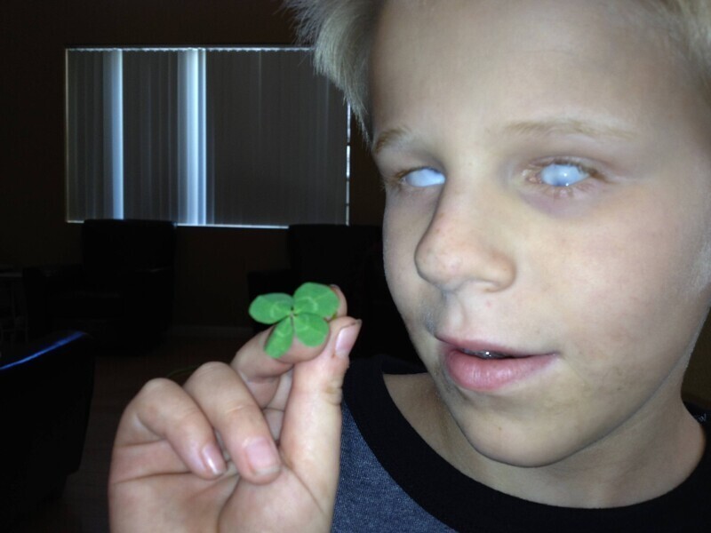 Слепой мальчик нашёл 4-х листный клевер