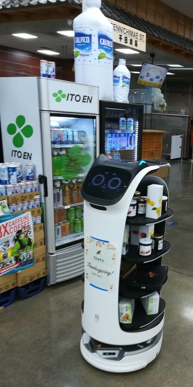 В японском супермаркете есть кот-робот