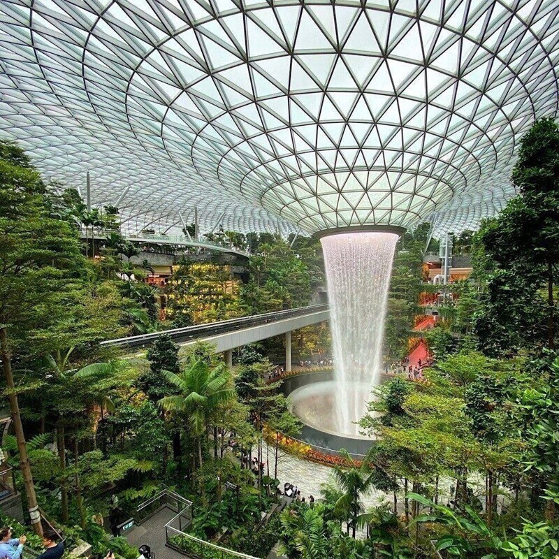 Крытый тропический лес в аэропорту Чанги Сингапур