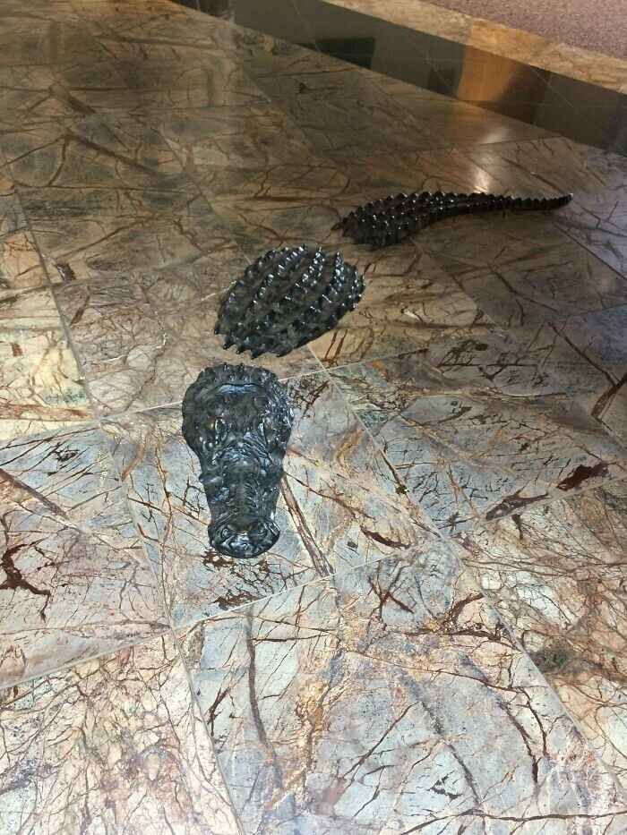 25. Железный аллигатор на полу в вестибюле медицинского центра. На случай если у вас не было травм до прихода
