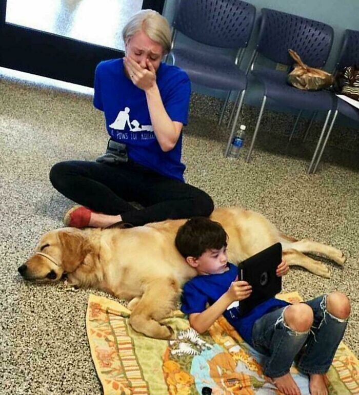 Мальчик-аутист, который не переносит прикосновений, подружился с терапевтической собакой