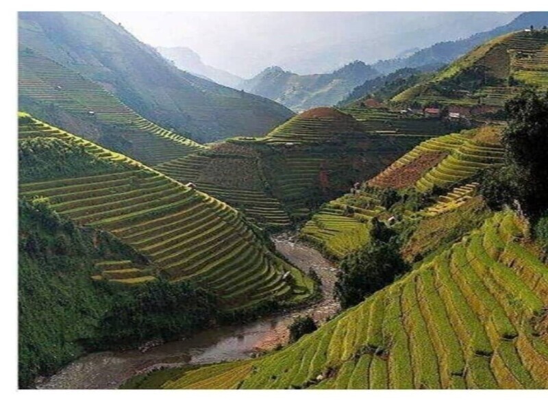 Рисовые поля к северу от столицы Вьетнама