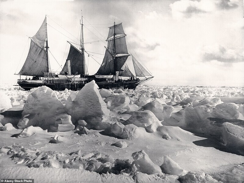 "Эндьюранс" на всех парусах, Императорская трансантарктическая экспедиция
