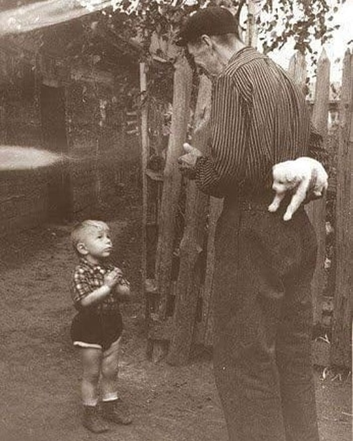 8. Маленький мальчик вот-вот получит собаку на день рождения, 1955 год