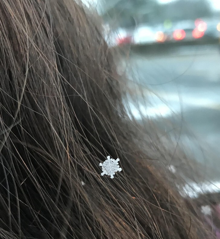 25. "У моей подруги в волосах была идеальная снежинка"