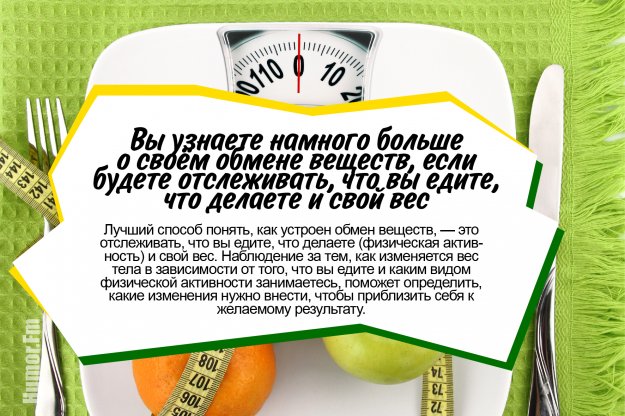 15 вещей, которые следует знать об обмене веществ, чтобы держать себя в форме