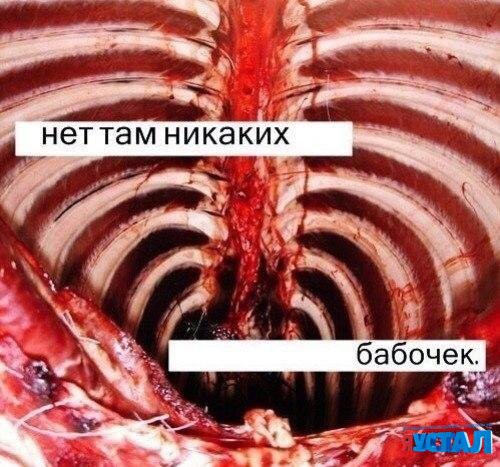 Смешные картинки с надписями