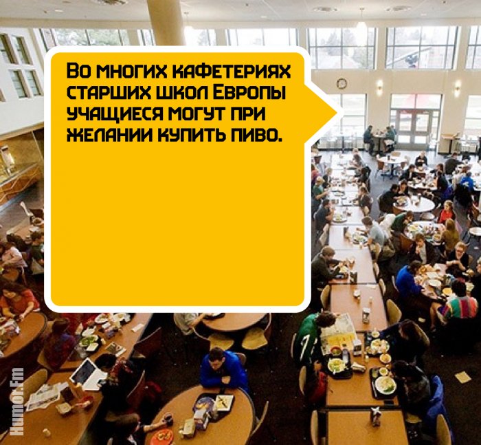 25 невероятных фактов про алкоголь, о которых вы, возможно, не догадывались