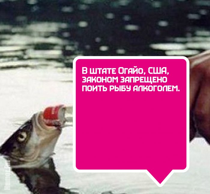 25 невероятных фактов про алкоголь, о которых вы, возможно, не догадывались