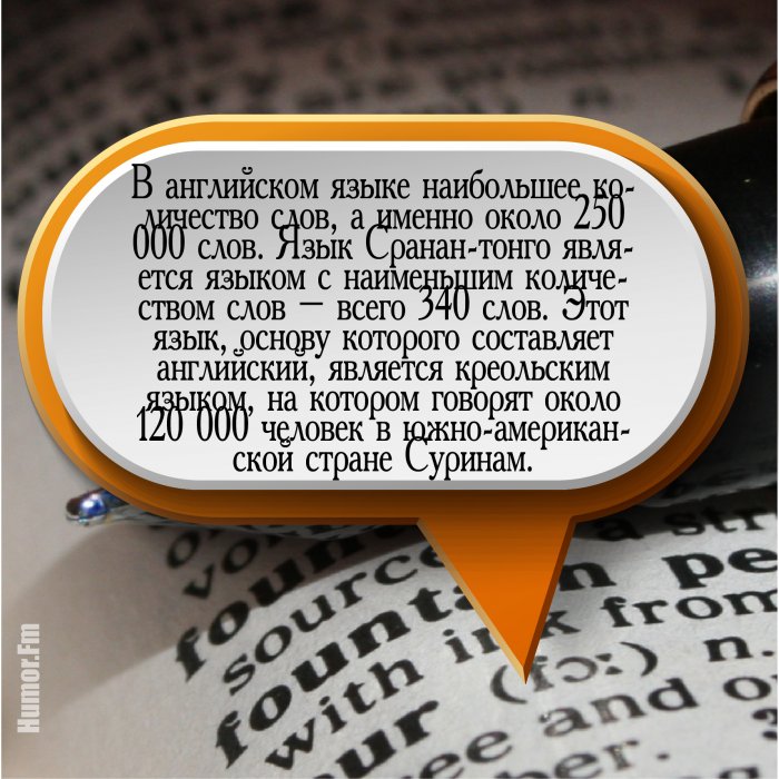 20 интересных и познавательных фактов о языке