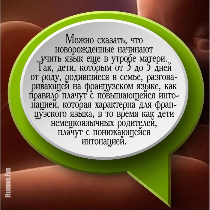 20 интересных и познавательных фактов о языке