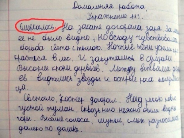 16 удивительно забавных перлов из школьных тетрадей. Такое могли выдать только дети...