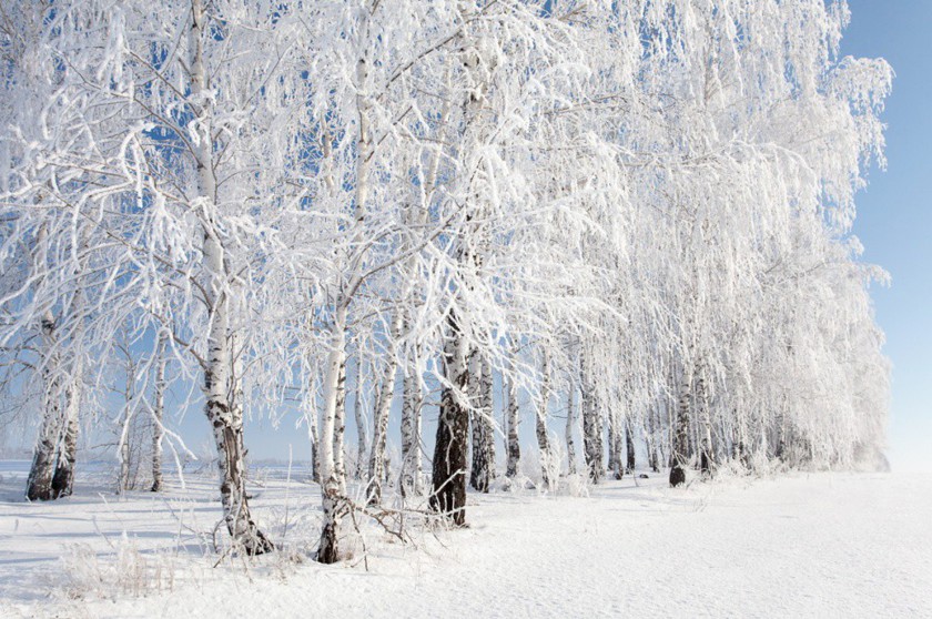 Зима — это волшебно и невероятно прекрасно!
