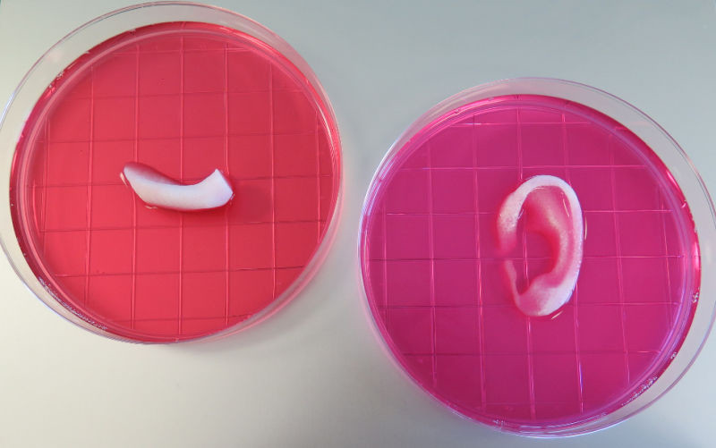 Теперь человеческие уши будут печатать на 3D принтере!