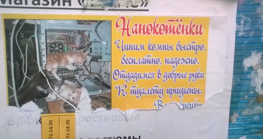 Эти безумные выдумки вас точно удивят!