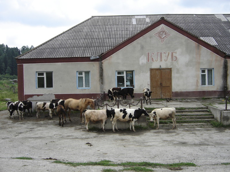 В соседнем селе дискотека...ЮхУуу.