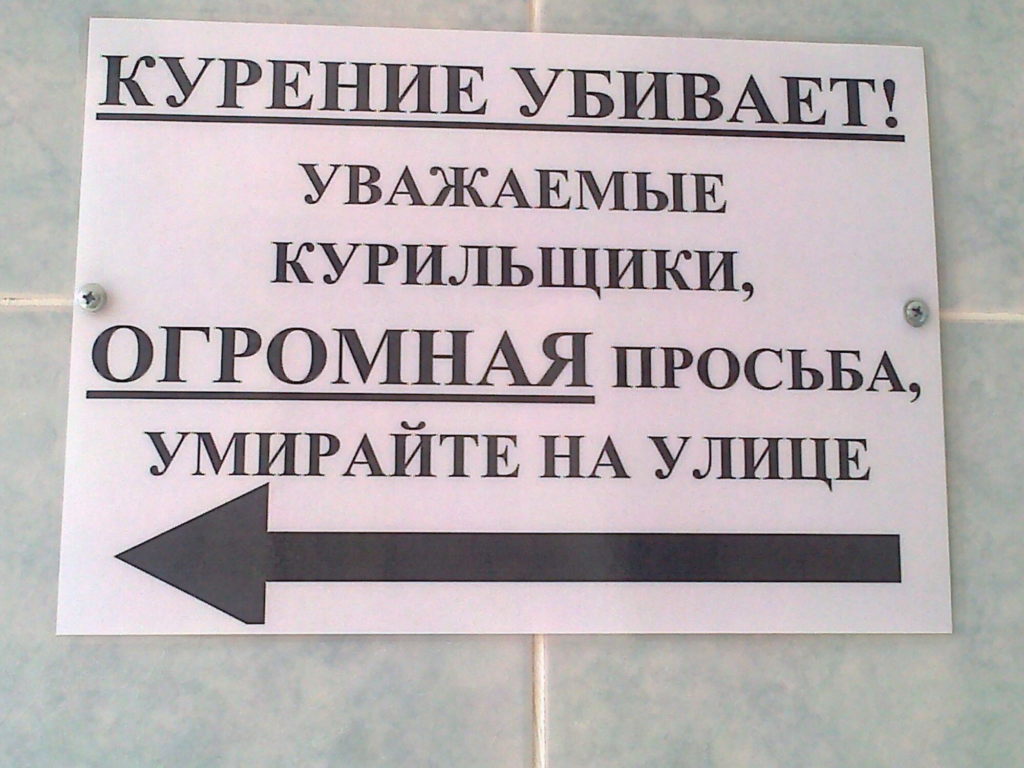 Надписи с юмором. Приколы с надписями. Юмор картинки приколы с надписями. Приколы про курение. Надпись шутка.