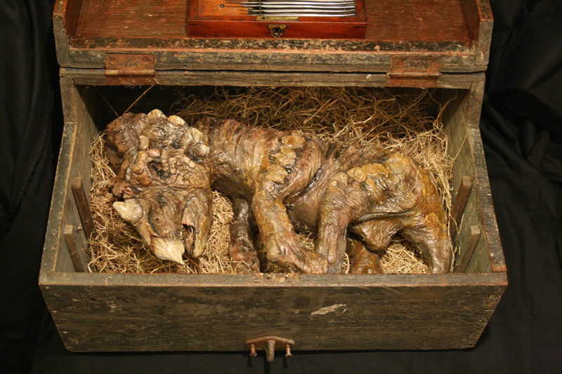 Жуткие тела странных существ были найдены в подвале лондонского особняка! Вас это реально удивит!