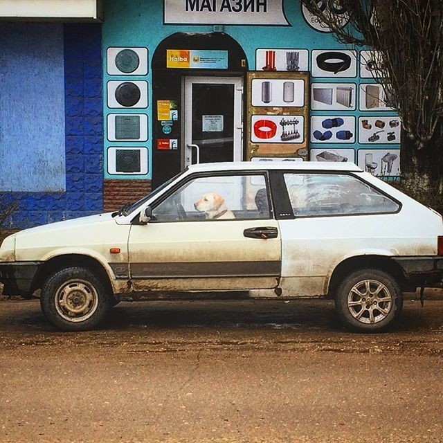 Ох, уж эти неловкие моменты, смотрим, сочувствуем, сопереживаем!