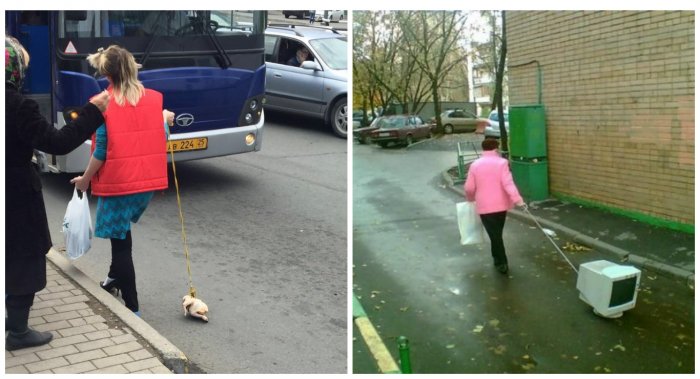 В дурдоме снова выходной!