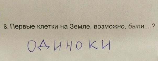 Супер перлы учеников младших классов