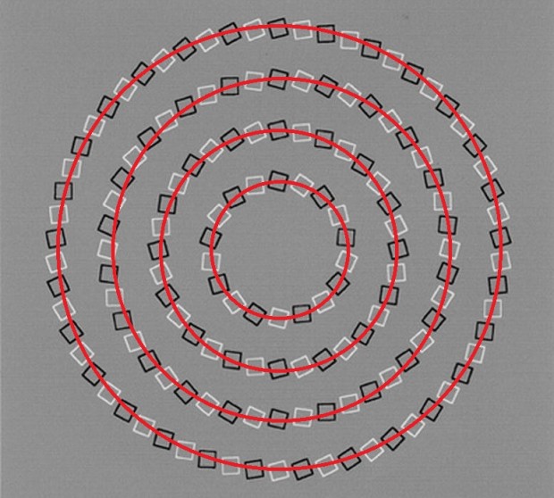 Оптические иллюзии способные "сломать" ваш мозг