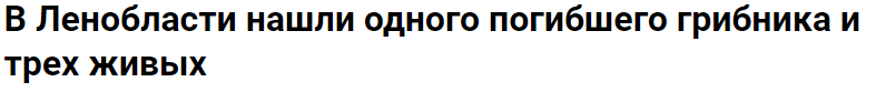 А не пойти ли поохотиться на... грибы!