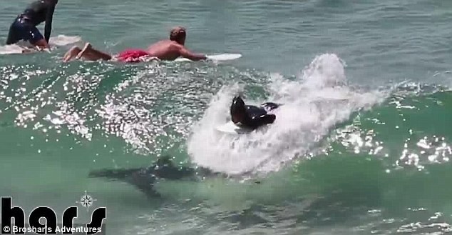 Опасный серф на пляжах Австралии!