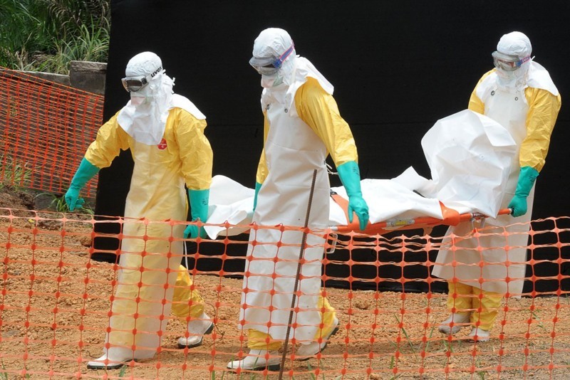 Куда делась лихорадка Эбола