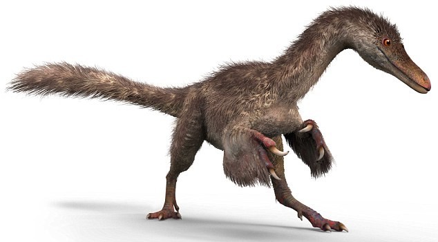 Ученые нашли идеально сохранившиеся перья динозавра