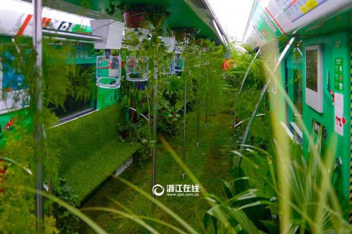 В Китае вагон метро превратили в зеленый лес!