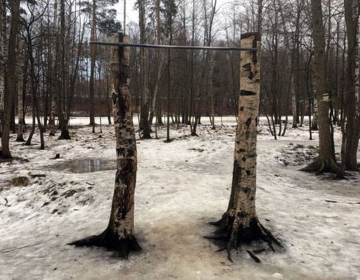 Ты узнаешь ее из тысячи: по столбам, по дворам, по мусору