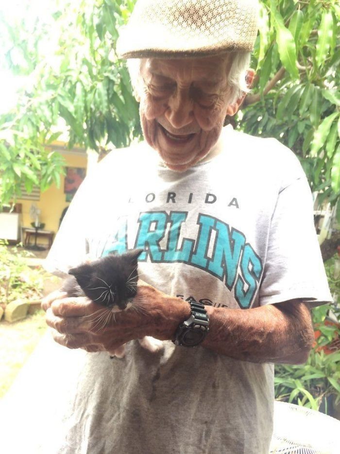 85-летний дед в тайне от жены ухаживал за бездомными котятами