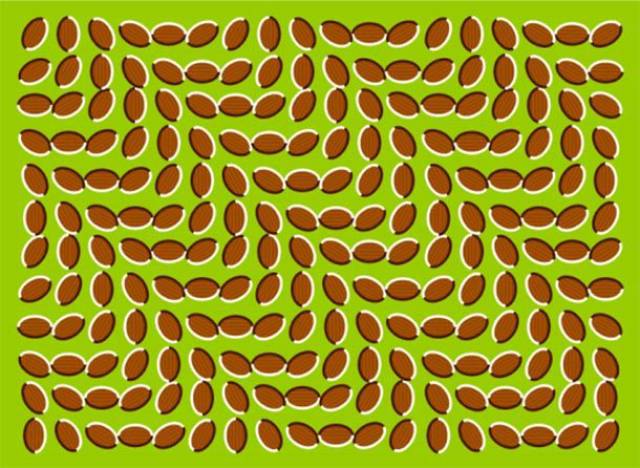 Осторожно, головокружительные оптические иллюзии!