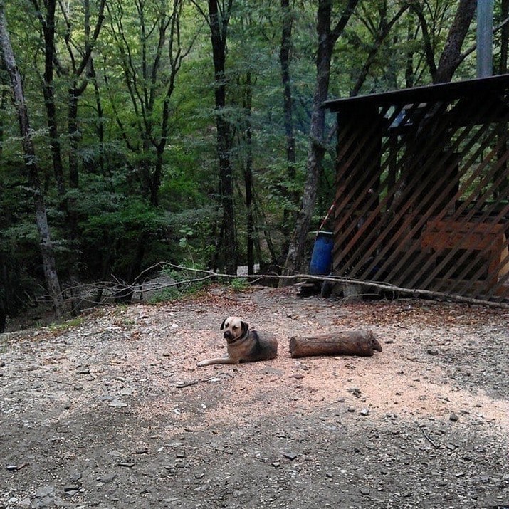 25 фото, которые так стараются обмануть твои глаза