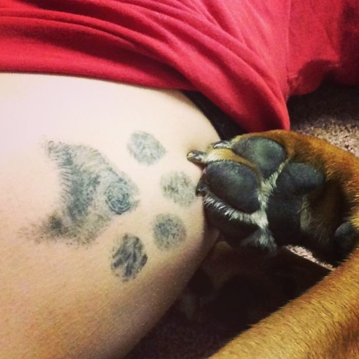 Новый тренд – татуировки лап своих собак