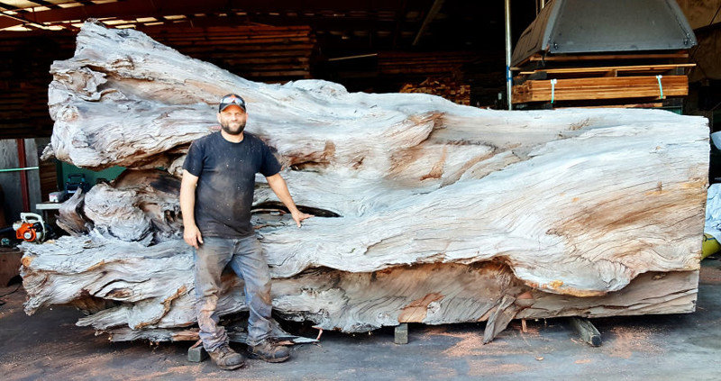 Скульптор по дереву превратил упавшую секвойю в гигантского морского монстра