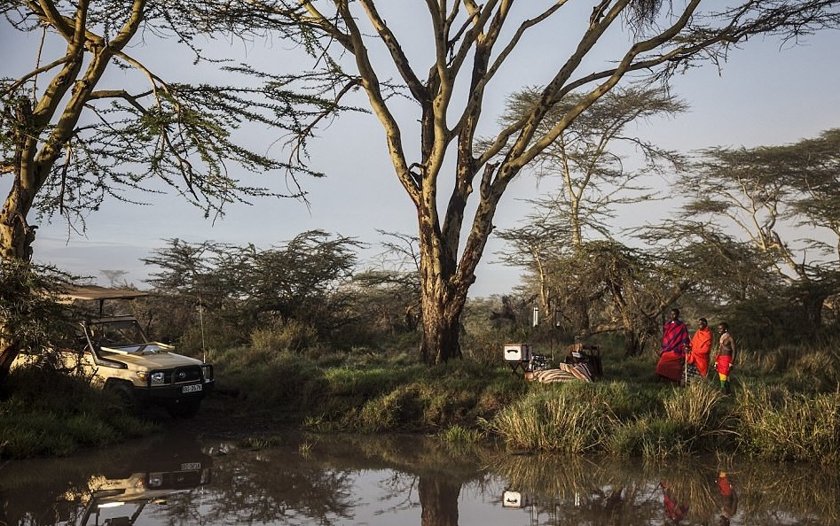 Постояльцам кенийского сафари-парка предлагают пожить в пятизвездочном птичьем гнезде