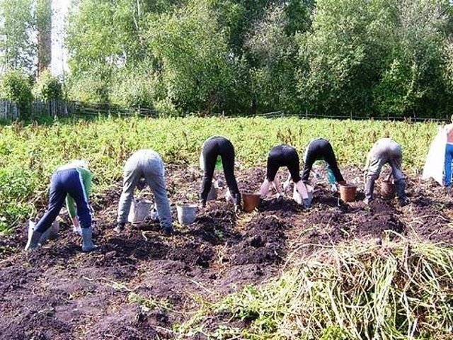 Тяжела борьба с собственным нервным психическим здоровьем