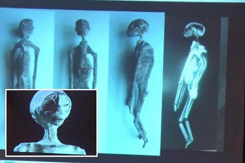 Не так давно в Перу были обнаружены тела пришельцев 