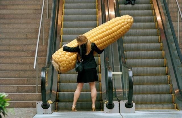 Слишком много кукурузы не бывает!