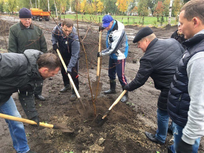 Что для чиновника главное? В кадр попасть. Пусть все думают, что стараемся