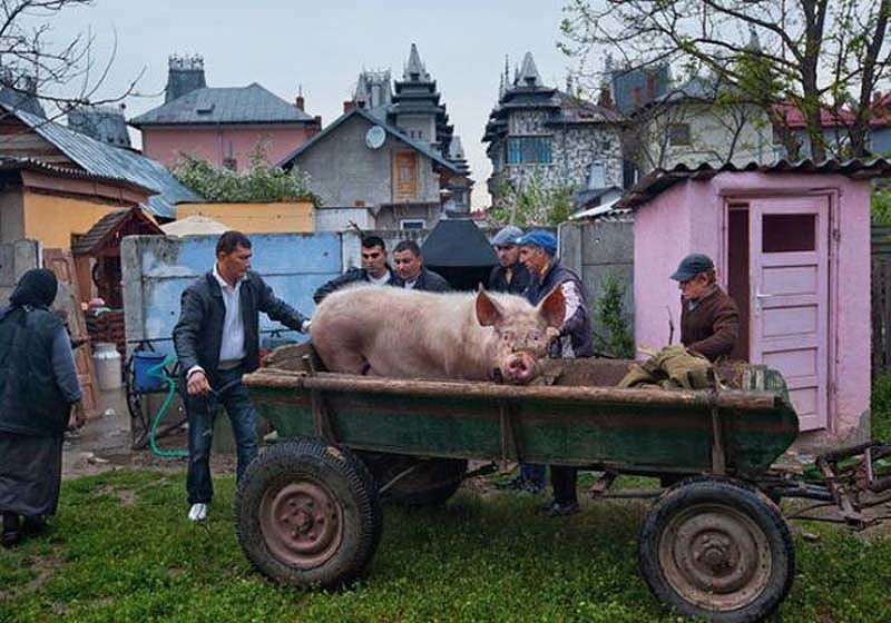 Провинциальный румынский город населенный исключительно цыганскими баронами