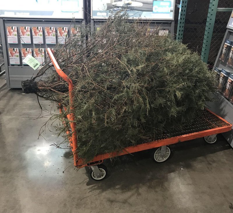 Предприимчивая американка решила вернуть елку в магазин после Рождества